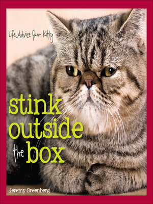 cover image of Stink Outside the Box